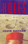 Holes_cover